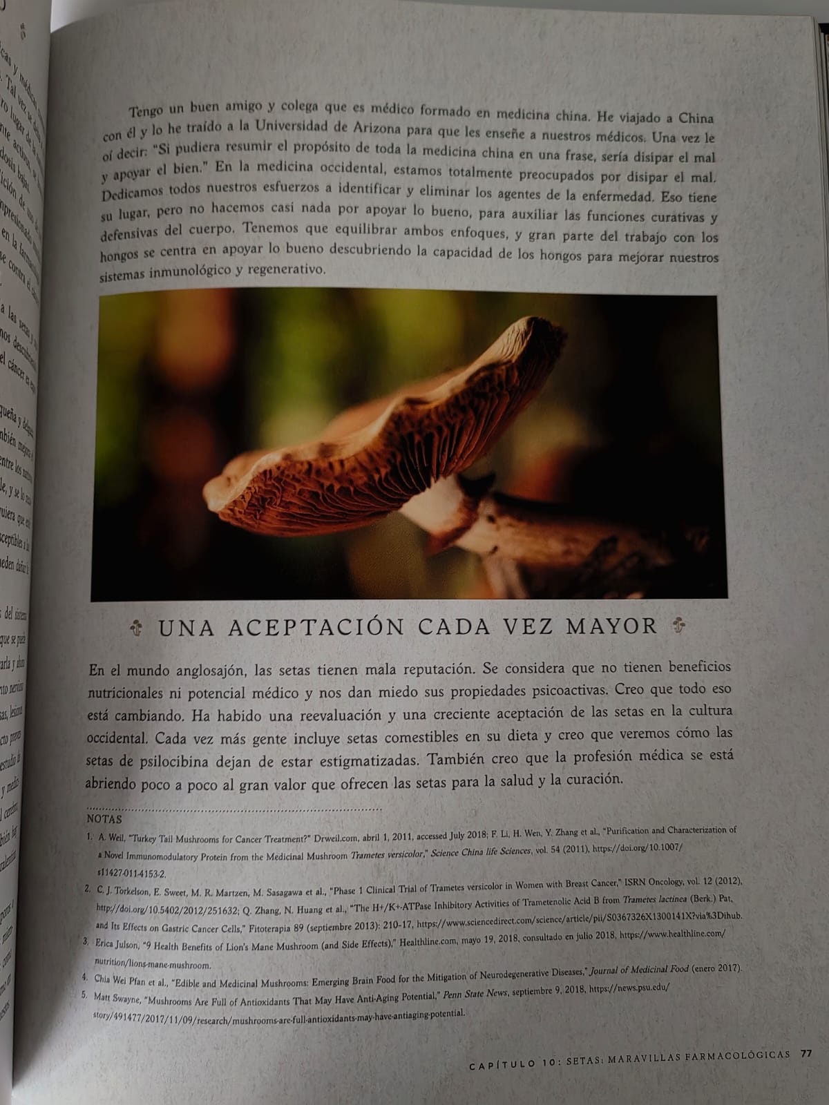 Hongos fantásticos Libro