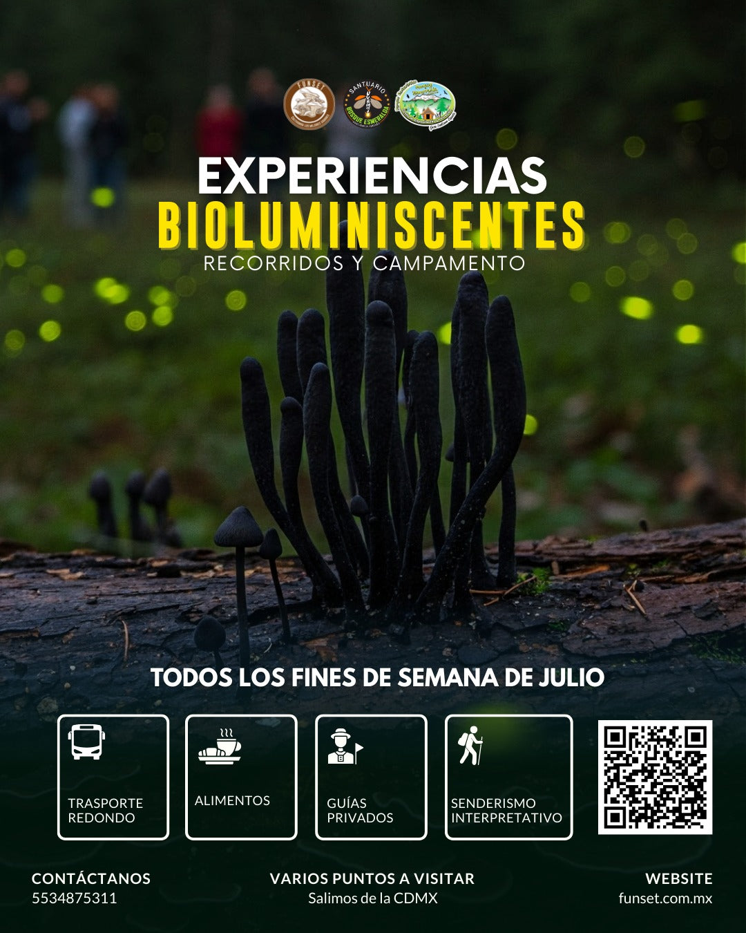 EXPERIENCIAS BIOLUMINICENTES- CAMPAMENTO