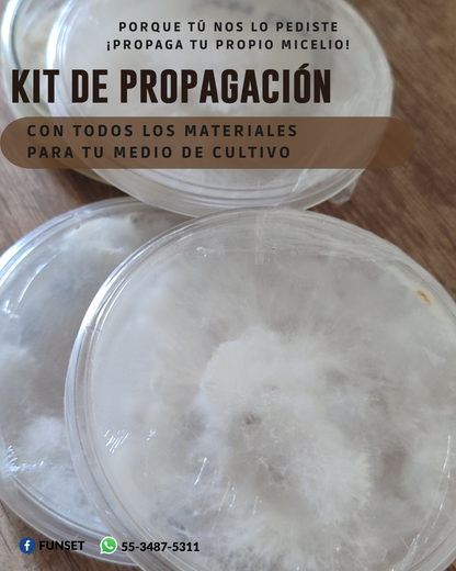 KIT PARA LA ELABORACIÓN DE MEDIO DE CULTIVO Y PROPAGACIÓN DE MICELIO