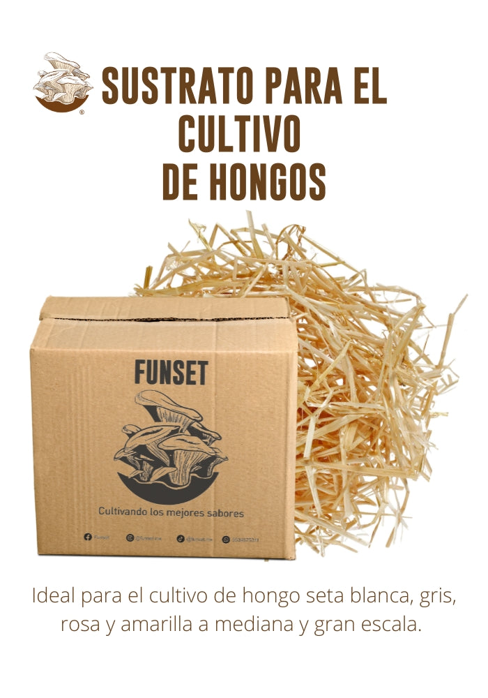SUSTRATO PARA EL CULTIVO DE HONGO SETA
