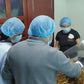 TALLER HIBRIDO CULTIVO DE HONGOS GOURMET Y FUNCIONALES