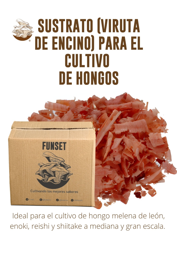 VIRUTA DE ENCINO (SUSTRATO PARA EL CULTIVO DE HONGOS) 5kg